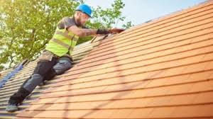 Best Steel Roofing  in Belvidere, NJ