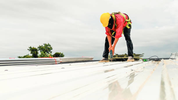 Best Rubber Roofing (EPDM, TPO)  in Belvidere, NJ