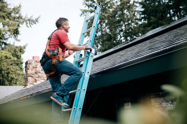 Best Flat Roofing  in Belvidere, NJ